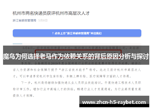 魔鸟为何选择老马作为依赖关系的背后原因分析与探讨